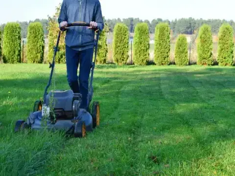 Alex Landscaping Services' Other Services