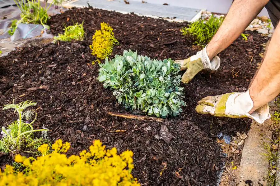 Affordable Mulching Beltsville, MD Affordable Mulching Beltsville, MD