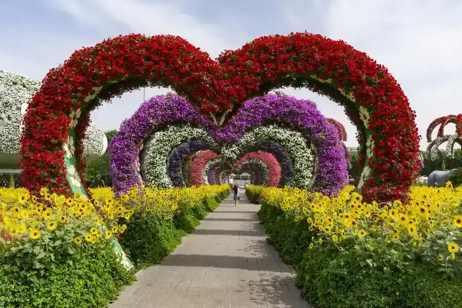 Expert Landscape Installation Beltsville, MD Expert Landscape Installation Beltsville, MD