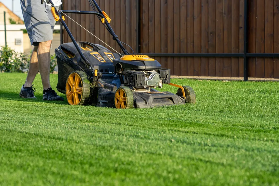 How Proper Lawn Mowing Prevents Weed Growth Beltsville, MD