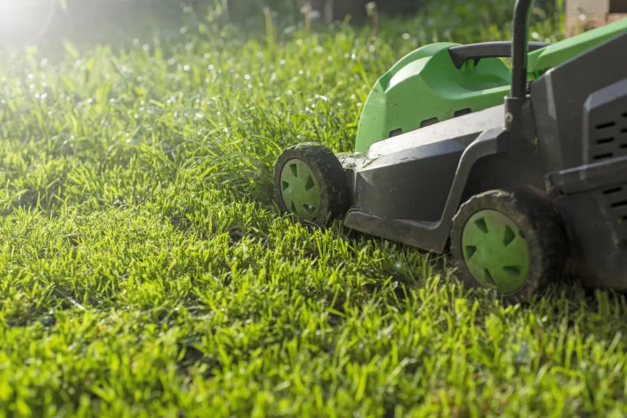 How Proper Lawn Mowing Prevents Weed Growth in Beltsville, MD