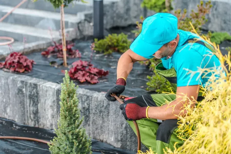 Premium Landscape Installation Beltsville, MD Premium Landscape Installation Beltsville, MD