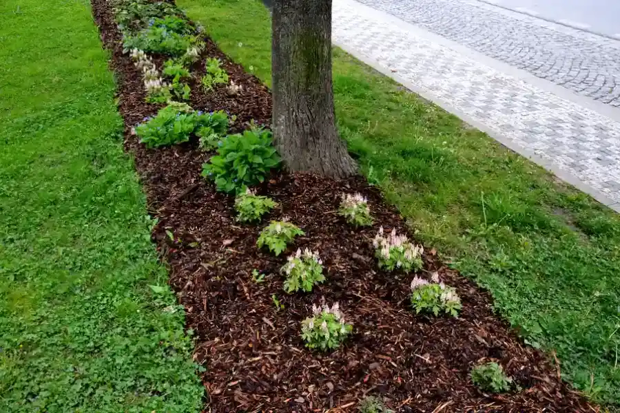Quality Mulching Beltsville, MD Quality Mulching Beltsville, MD