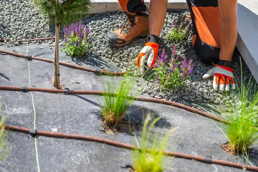 Reputable Landscape Installation Beltsville, MD Reputable Landscape Installation Beltsville, MD