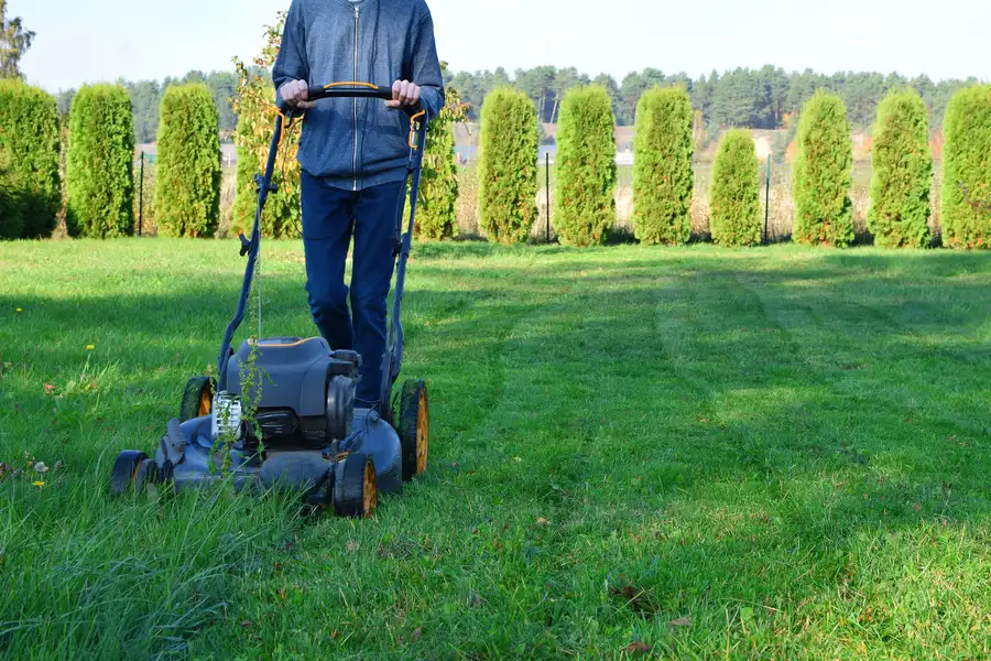 Seasonal Considerations For Effective Lawn Mowing Beltsville, MD