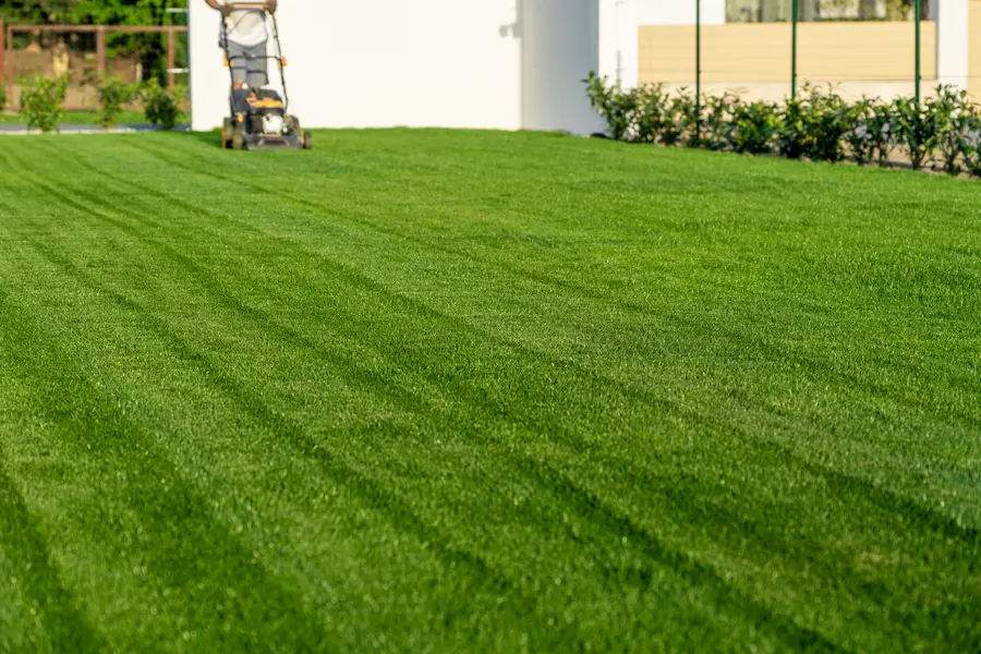 Seasonal Considerations For Effective Lawn Mowing in Beltsville, MD