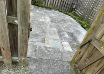 Professional Landscape Services