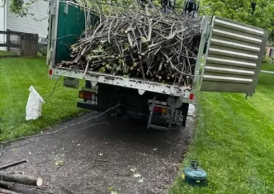 Quality Landscape Services