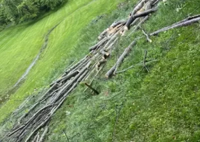 Reliable Landscape Services