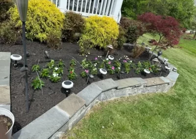 Superb Landscape Services