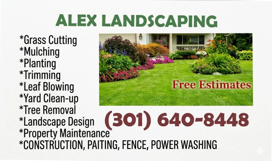Expert Landscaping Contractor
